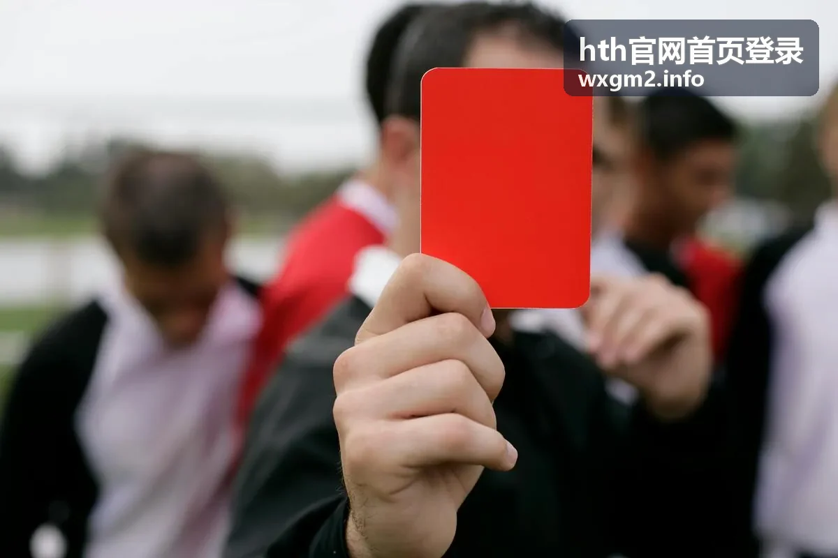 hth官网首页登录 登录指南封面