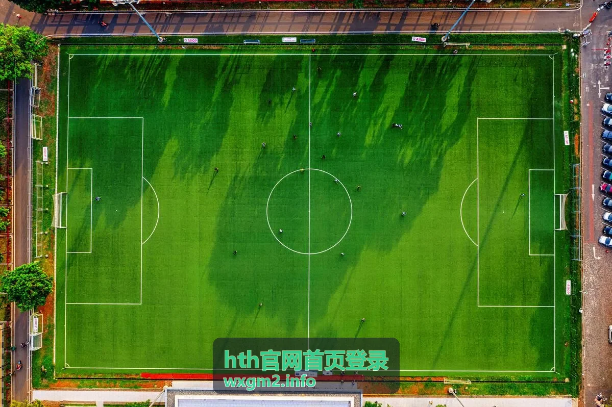hth官网首页登录 安全验证说明
